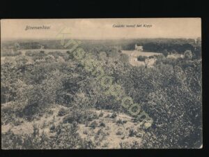 Bloemendaal - Gezicht vanaf het Kopje [009-0170