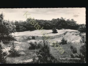 Ruinen - Zandverstuiving [009-0188