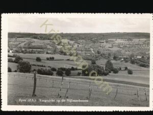Epen - Vergezicht op de Vijlenbossen [009-0194