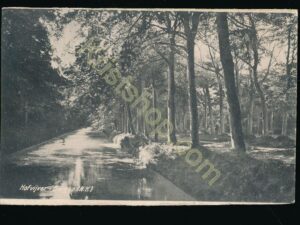 Bergen - Hofvijver [009-0207