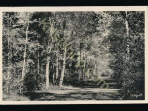 Ermelo - Bospad [009-0210