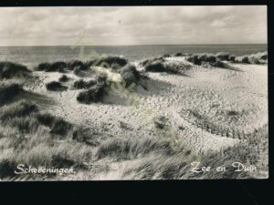 Scheveningen - Zee en Duin [009-0213