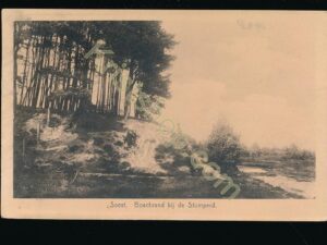 Soest - Boschrand bij de Stomperd [009-0235