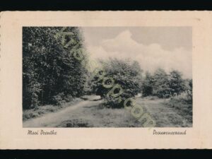 Drouwenerzand [009-0240