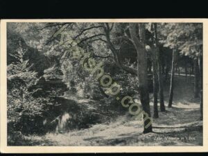 Zeist - Vijver [009-0254