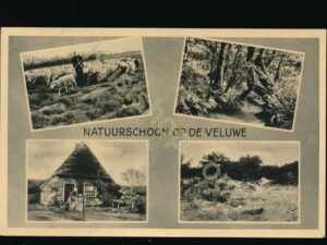 De Veluwe [009-0258