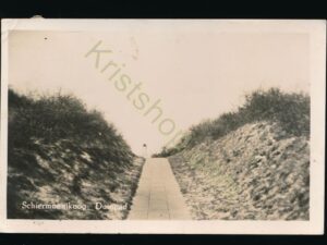 Schiermonnikoog - Duinpad [009-0272