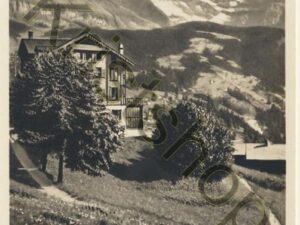 Wengen - Bellevue - Hotel [009-0436