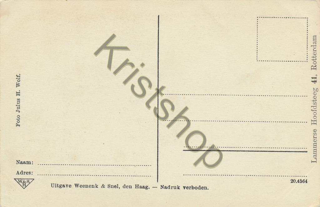 KRST009-0577_1.jpg Rotterdam - Stadhuis - de Daktuin [009-0577 - Afbeelding 2