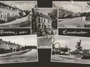 Loosdrecht [009-0591