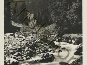 Schruns [009-0764