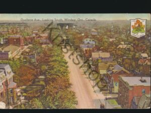 Canada - Ouelette Ave. - Looking South - Windsor Ont.  [009-0802