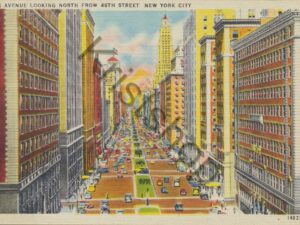 New York - Park Avenue [009-1206