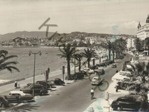 Cannes [009-1219