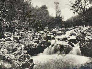 Camp de Roptal - Ave et Auffe [009-1286