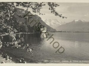 Lac Léman   [009-1296