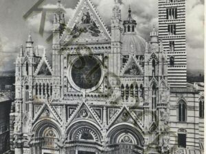 Siena [009-1348