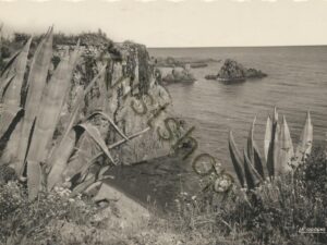 La Corniche d'Or (Var) [009-1374