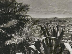 Locarno [009-1377