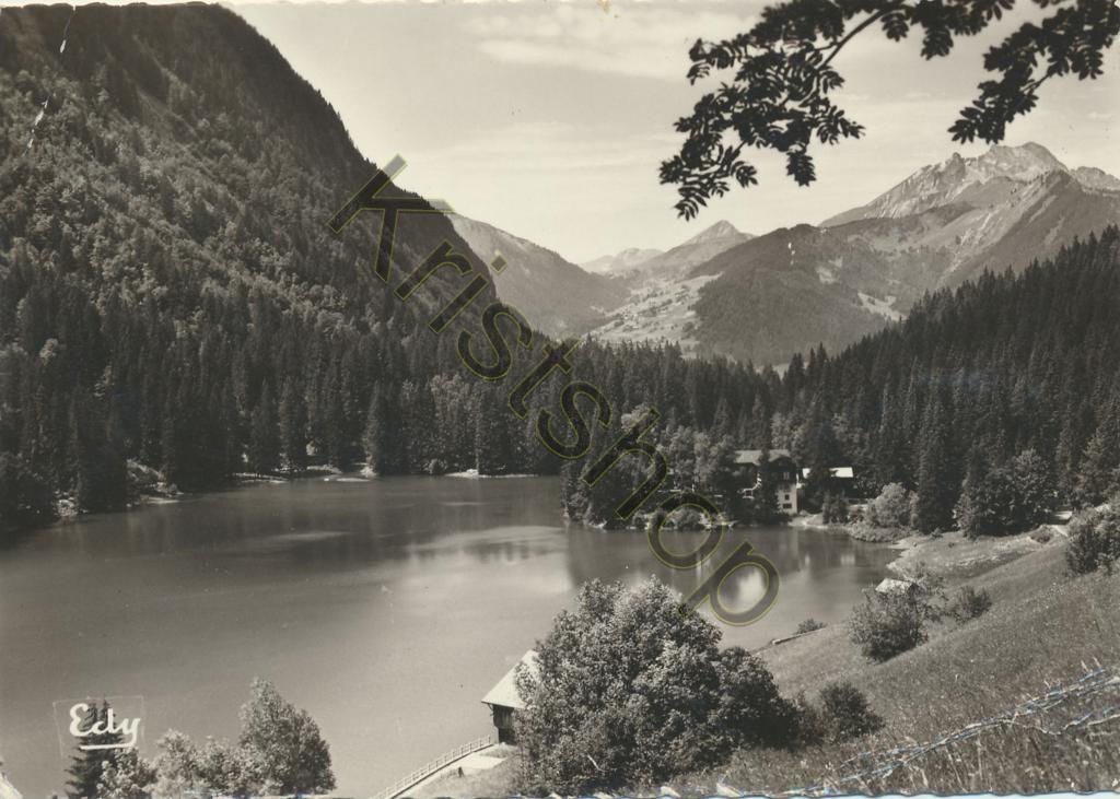 KRST009-1382_0.jpg Lac de Montriond (Het-Savoie) [009-1382