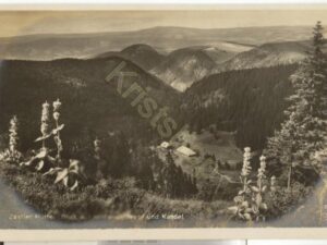 Zastler Hütte - Feldberg [KRST009-1776