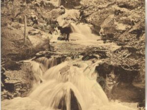 Ilsenburg - Partie am Bremerweg [KRST009-1895