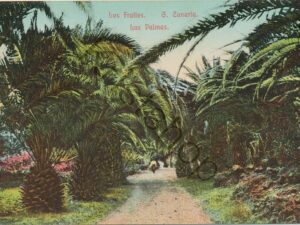 Las Palmas - Los Frailles - G. Canaria [KRST009-1944