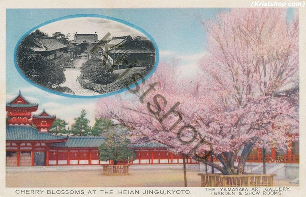 KRST009-2069_0.jpg Kyoto - Cherry Blossoms at the Heian Jingu [KRST009-2069