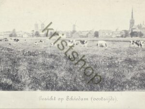Schiedam - oostzijde - REPRODUCTIE [KRST009-2273