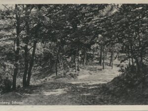Schoorl - Randweg [009-2454