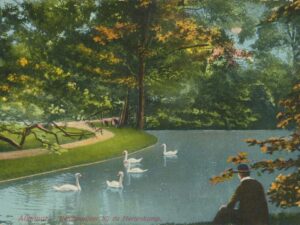 Alkmaar - Eendenvijver bij de Hertenkamp [009-2466