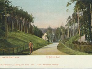 Bloemendaal - In Duin en Daal [009-2519