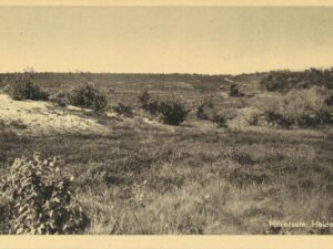 Hilversum - Heide [009-2590