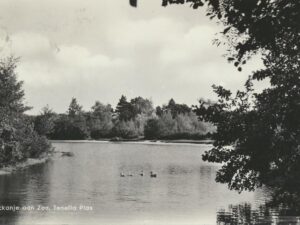 Rockanje a Zee - Tenella Plas [009-2599