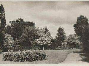 Bloemendaal - Plantsoen - 't Kopje [009-2601