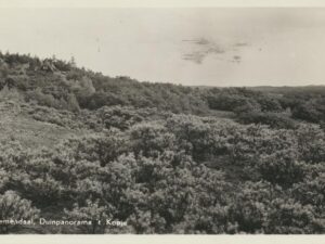 Bloemendaal - Duinpanorama 't Kopje [009-2621