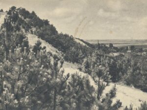 Schoorl - Panorama [009-2647