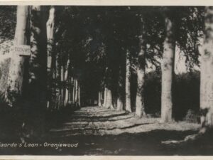 Oranjewoud - Tjaarda's Laan  [009-2806