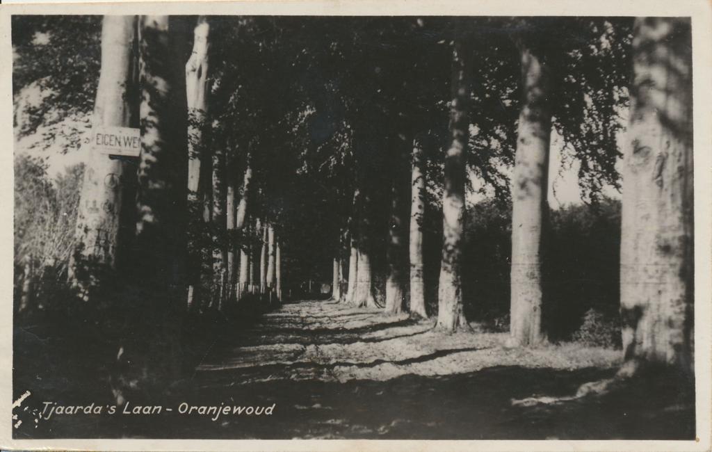 KRST009-2806_0.jpg Oranjewoud - Tjaarda's Laan [009-2806