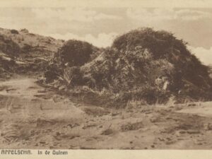 Appelscha - In de Duinen [009-2829