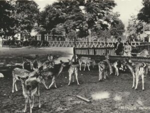 Veendam - Hertenkamp [009-2860