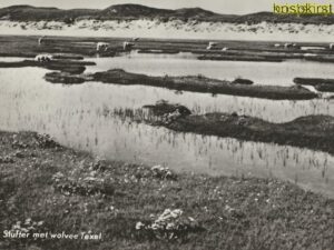Texel - De Slufter [009-2913