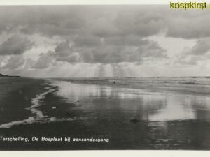 Terschelling - De Bosplaat bij zonsondergang [009-2937