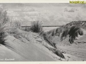 Ameland [009-2943