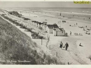 Texel - De Koog - Strandleven [009-2952
