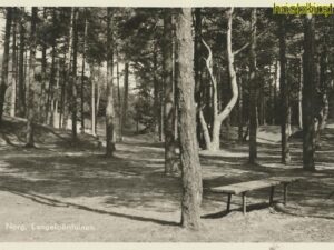 Norg - Langeloërduinen [009-2977