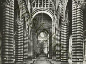 Siena [009-3208