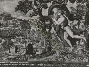 Firenze - Galleria Accademia [009-3230