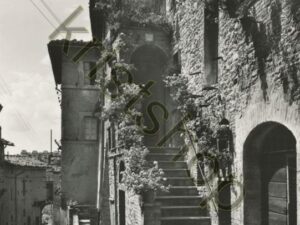 Assisi [009-3326