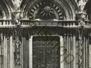 Siena [009-3336